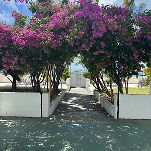 Apto 3 Quartos Pe Na Areia Prox De Recife