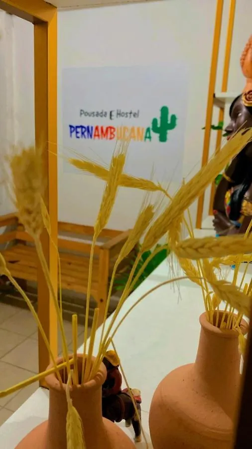 Pousada E Hostel Pernambucana Recife 0*,
